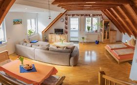 Apartment / Ferienwohnungen Christ
